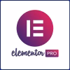 Elementor Agency One (Yearly)