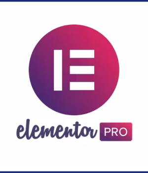 Elementor Agency One (Yearly)